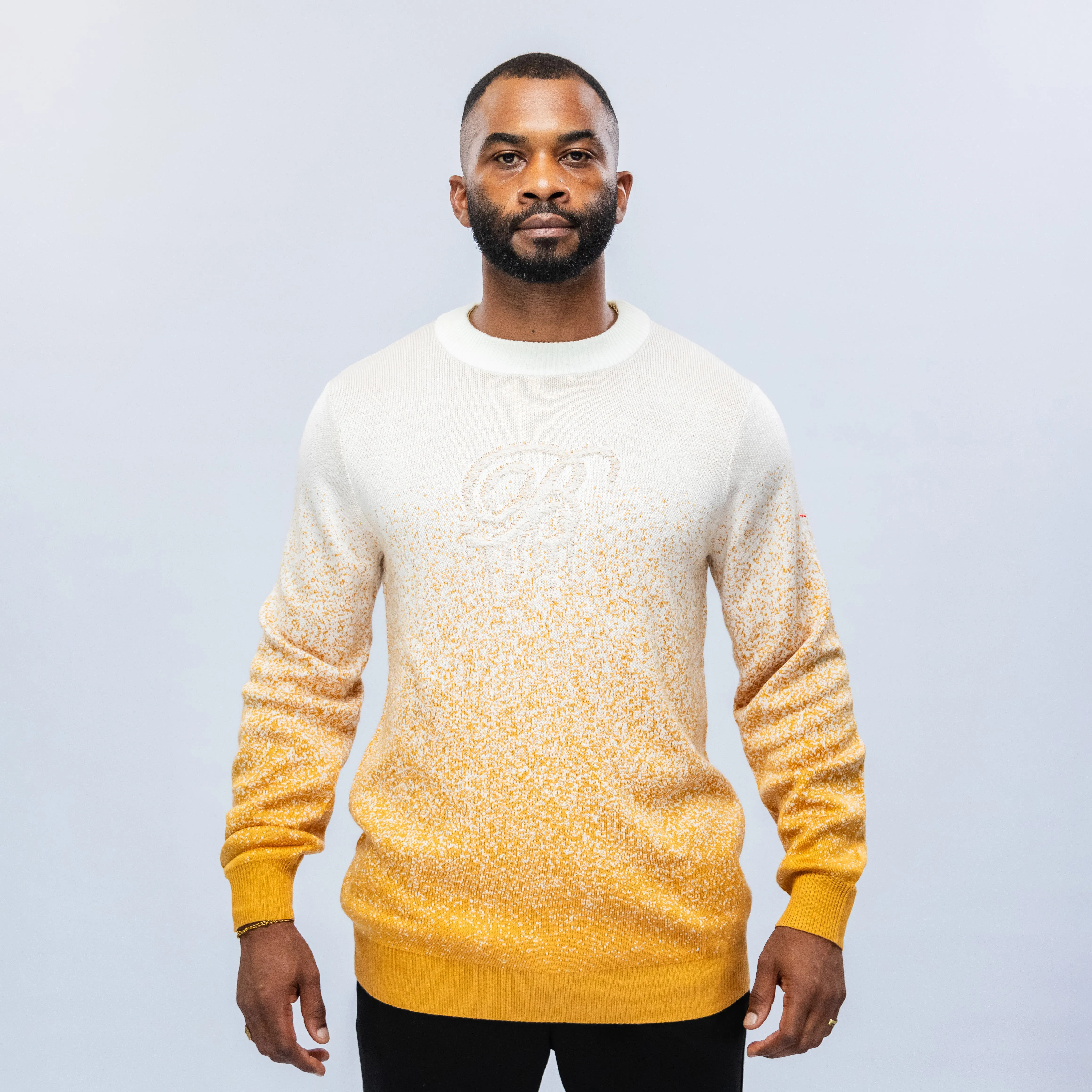 Bogart Premium Collection Gradient Knit Sweater