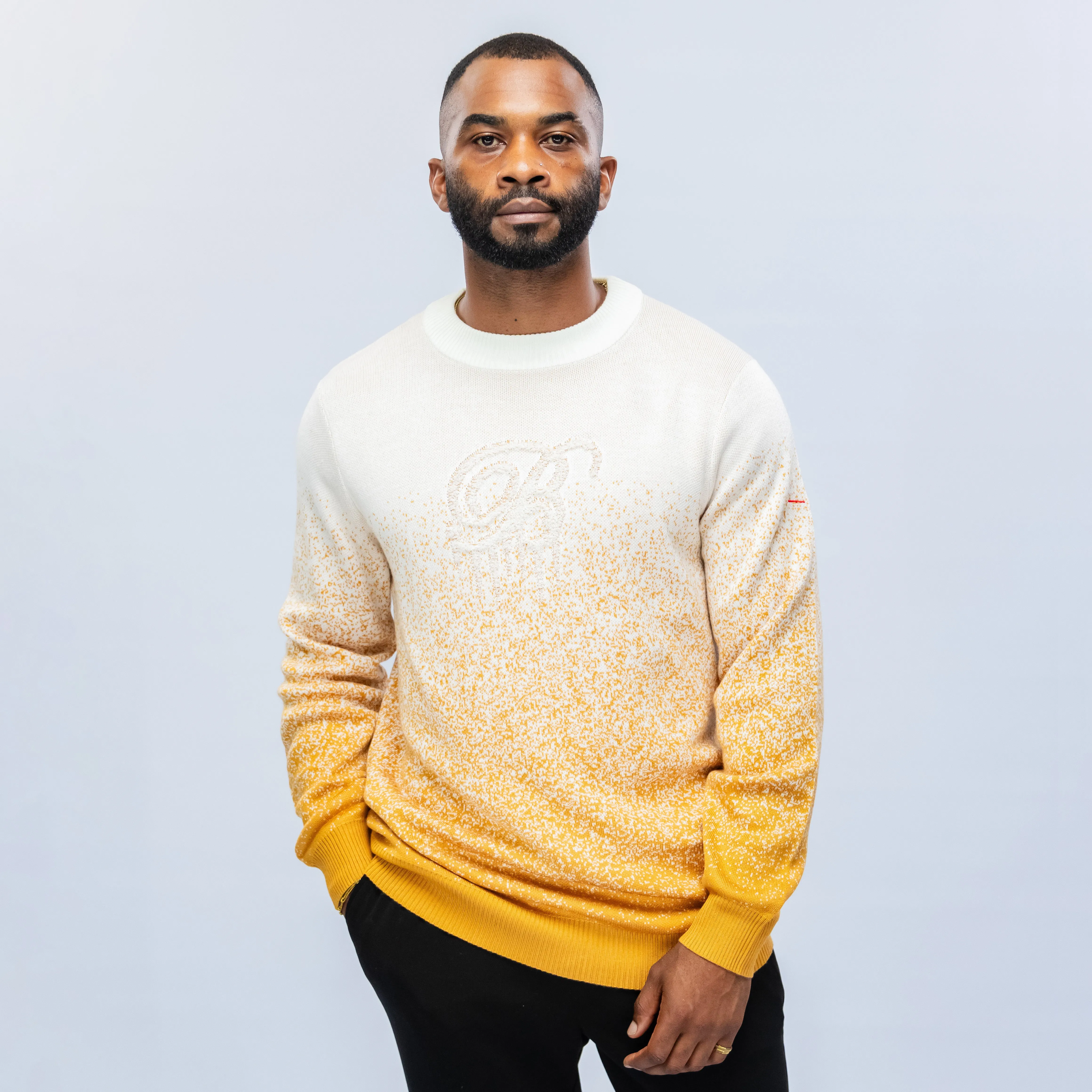 Bogart Premium Collection Gradient Knit Sweater