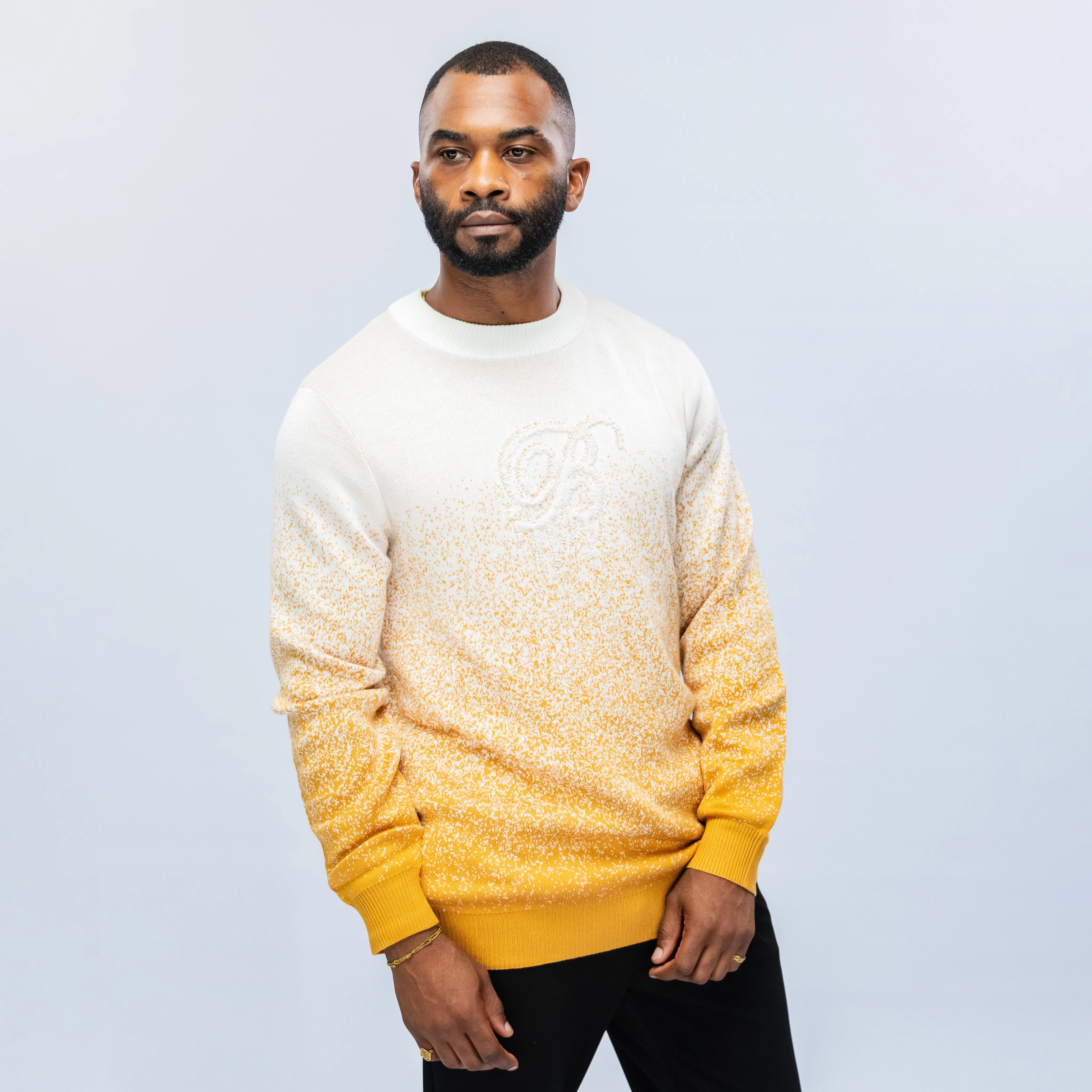 Bogart Premium Collection Gradient Knit Sweater