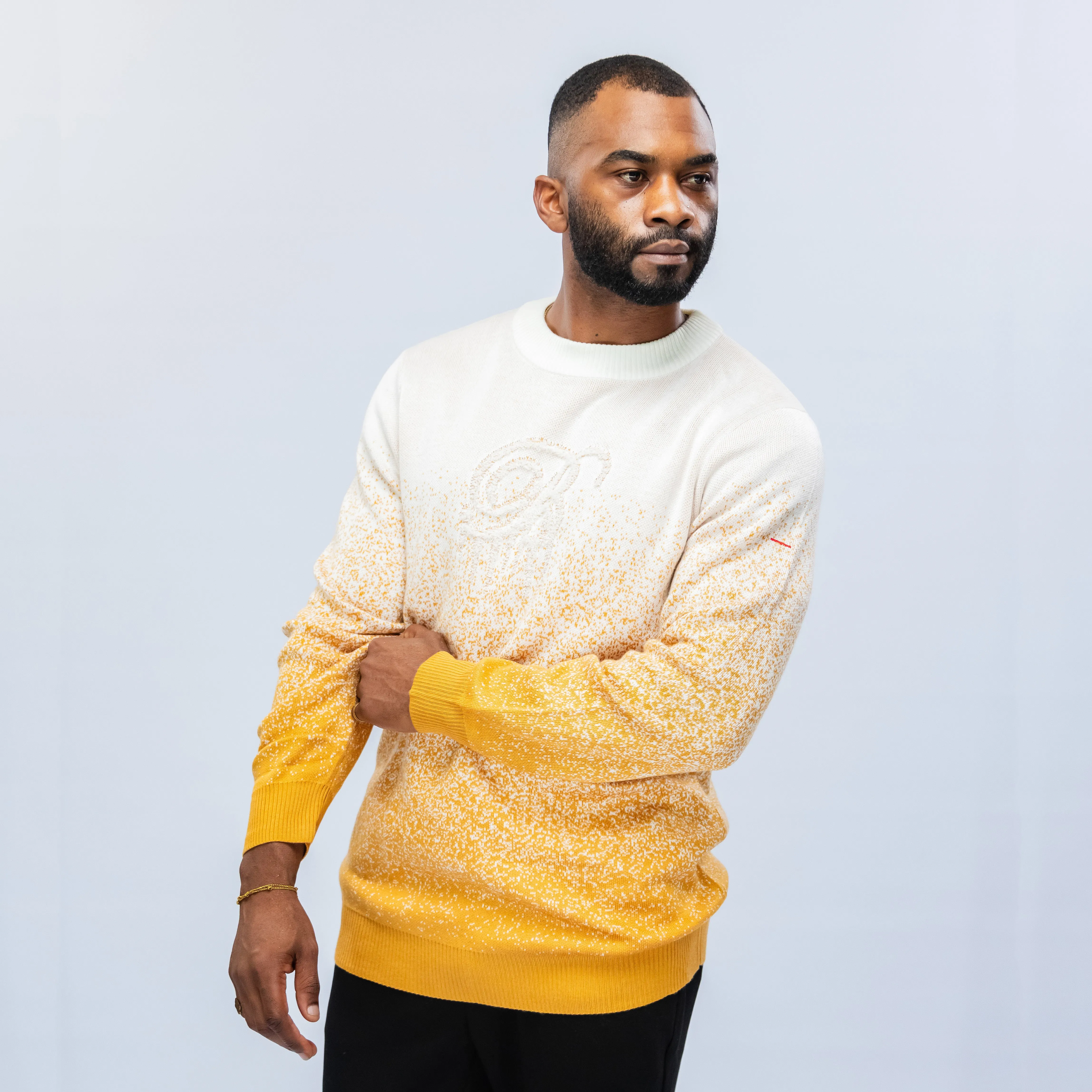 Bogart Premium Collection Gradient Knit Sweater