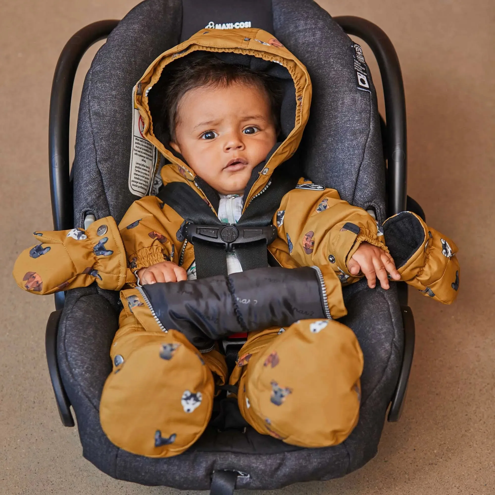 Printed Little Cats One Piece Baby Snowsuit Purple | DEUX PAR DEUX